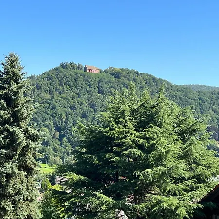 Weitblick 1 Apartment *